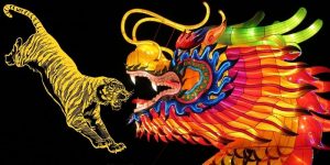 Rồng Hổ là gì?